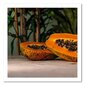 Reprodukcija Divas papaijas puses cena un informācija | Gleznas | 220.lv