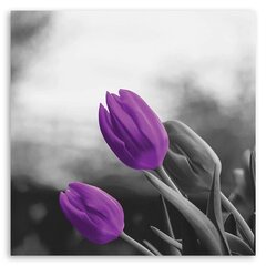 Reprodukcija Divas violetas tulpes cena un informācija | Gleznas | 220.lv