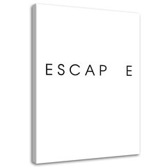 Reprodukcija Escape cena un informācija | Gleznas | 220.lv