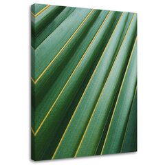 Reprodukcija Palmu lapu fragments cena un informācija | Gleznas | 220.lv