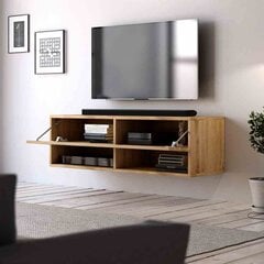 ТВ столик Hakano Regnum, коричневый цвет цена и информация | Тумбы под телевизор | 220.lv