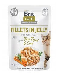 Brit Care pieaugušiem kaķiem, ar vistu un forelēm, 24x85 g cena un informācija | Konservi kaķiem | 220.lv