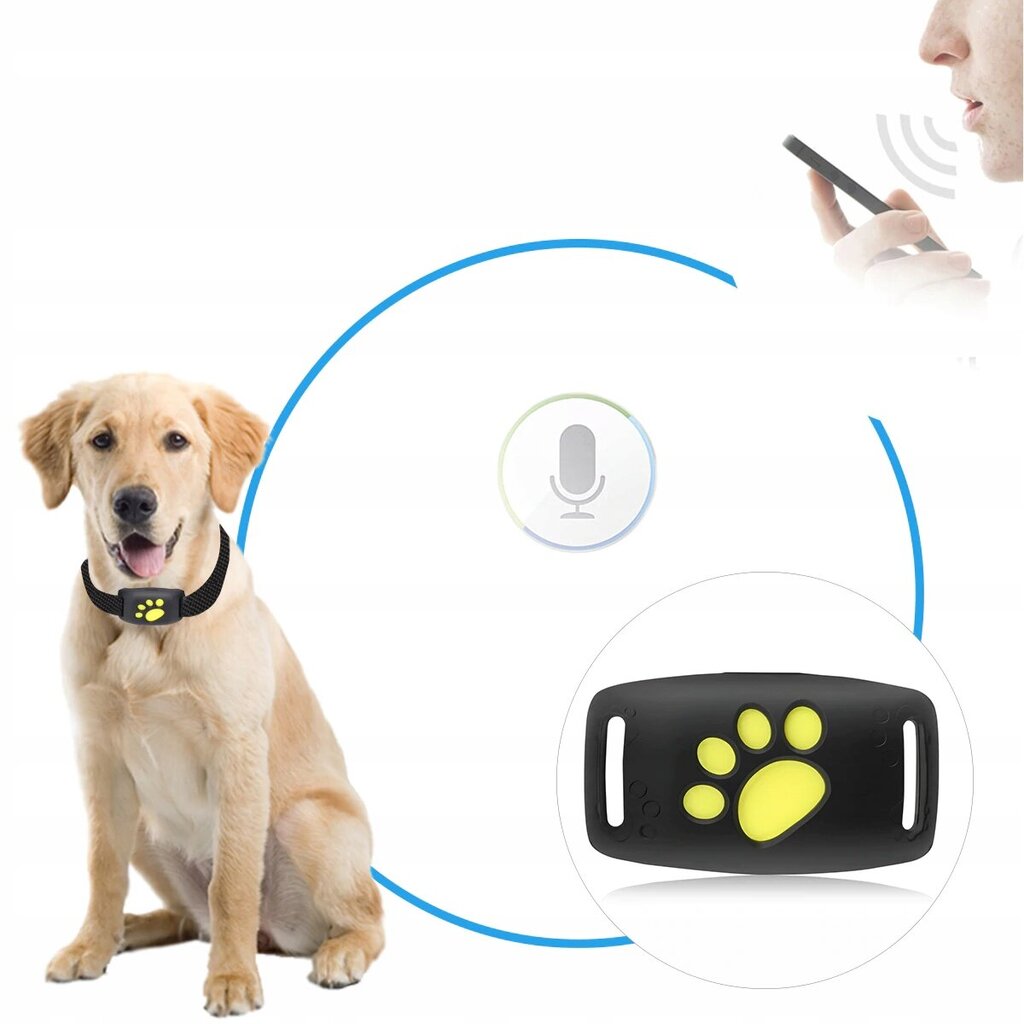 GPS kaklasiksna sunim cena un informācija | Apkakles, siksnas suņiem | 220.lv