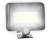 Āra lampa LED100 cena un informācija | Āra apgaismojums | 220.lv