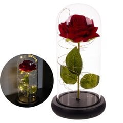Mūžīgšā roze stiklā — mirdzoša цена и информация | Спящие стабилизированные розы, растения | 220.lv