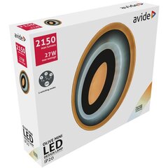 Светодиодный настенный светильник AVIDE Olive mini 27W цена и информация | Потолочные светильники | 220.lv