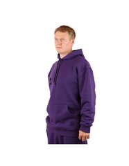 Džemperis unisex Hoodie Purple, Violets cena un informācija | Vīriešu jakas | 220.lv