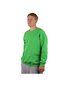 Džemperis unisex Crew Neck Classic Green, Zaļš цена и информация | Vīriešu jakas | 220.lv