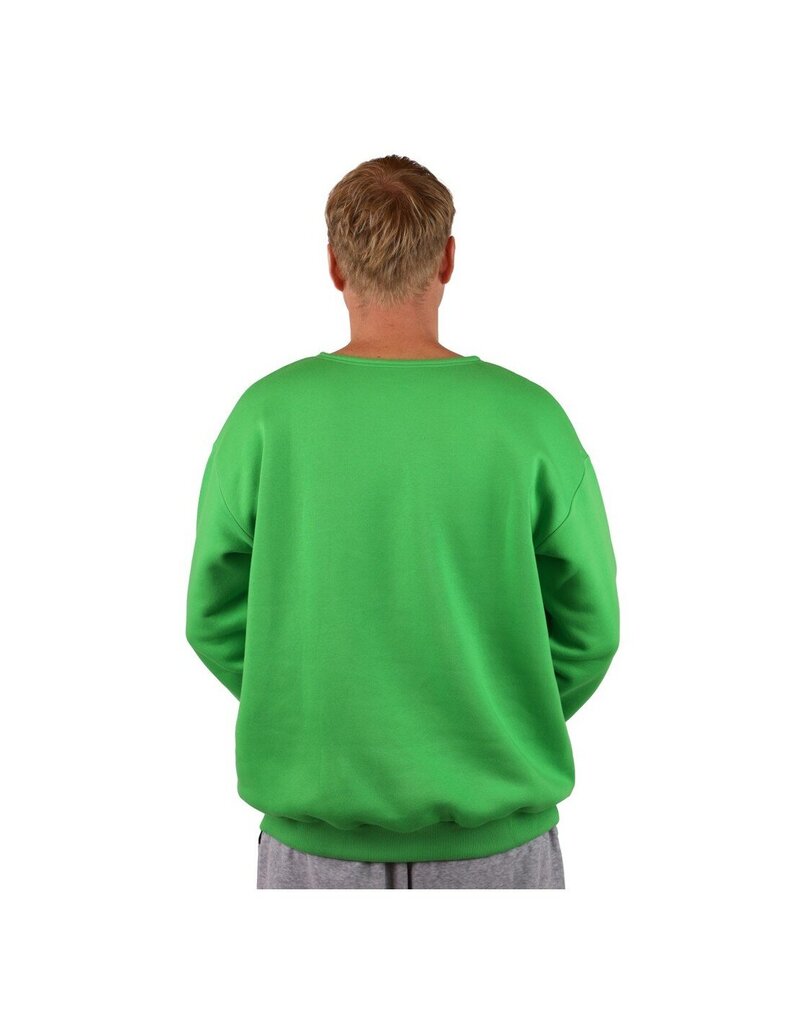 Džemperis unisex Crew Neck Classic Green, Zaļš цена и информация | Vīriešu jakas | 220.lv