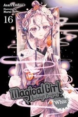 Magical Girl Raising Project, Vol. 16 (light novel) цена и информация | Фантастика, фэнтези | 220.lv