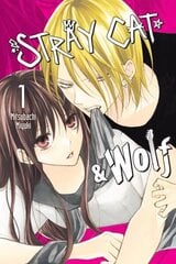 Stray Cat & Wolf, Vol. 1 цена и информация | Фантастика, фэнтези | 220.lv