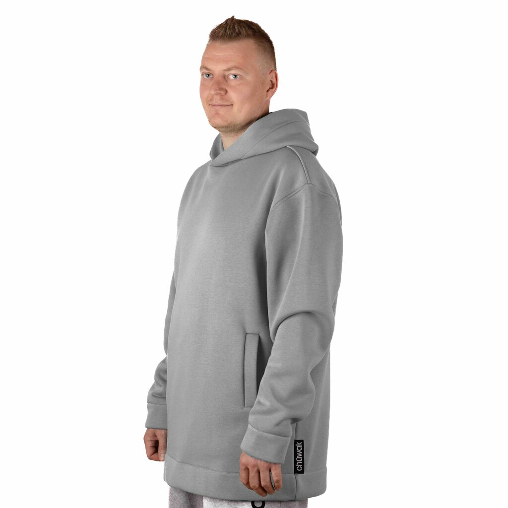 Džemperis Hoodie Exquisite Line Drizzle, Pelēks cena un informācija | Vīriešu jakas | 220.lv