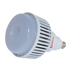 ЭКО светодиодная лампа для роста LEDSTAR 100W 6500K E40 цена и информация | Проращиватели, лампы для растений | 220.lv