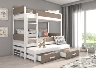 Divstāvu gulta Adrk Furniture Queen, 90x200 cm, balta/brūna цена и информация | Детские кровати | 220.lv