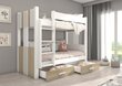Divstāvu gulta Adrk Furniture Arta, 90x200 cm, balta/brūna цена и информация | Bērnu gultas | 220.lv