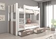Divstāvu gulta Adrk Furniture Arta, 80x180 cm, balta/brūna cena un informācija | Bērnu gultas | 220.lv