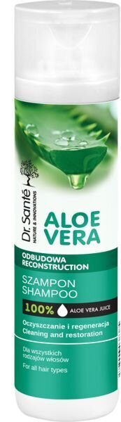 Šampūns Elfa Pharm Aloe, 250 ml cena un informācija | Šampūni | 220.lv