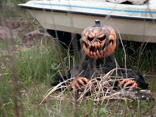 EUROPALMS Хэллоуин-Первопроходец Тыквенный монстр, 50 см цена и информация | Праздничные декорации | 220.lv