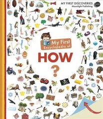 My First Encyclopedia of How? цена и информация | Книги для подростков и молодежи | 220.lv