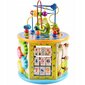 Šķirotājs kubs 8in1 Taizhou Wooden Toys cena un informācija | Rotaļlietas zīdaiņiem | 220.lv