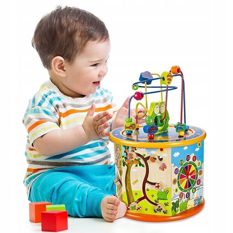 Šķirotājs kubs 8in1 Taizhou Wooden Toys cena un informācija | Rotaļlietas zīdaiņiem | 220.lv