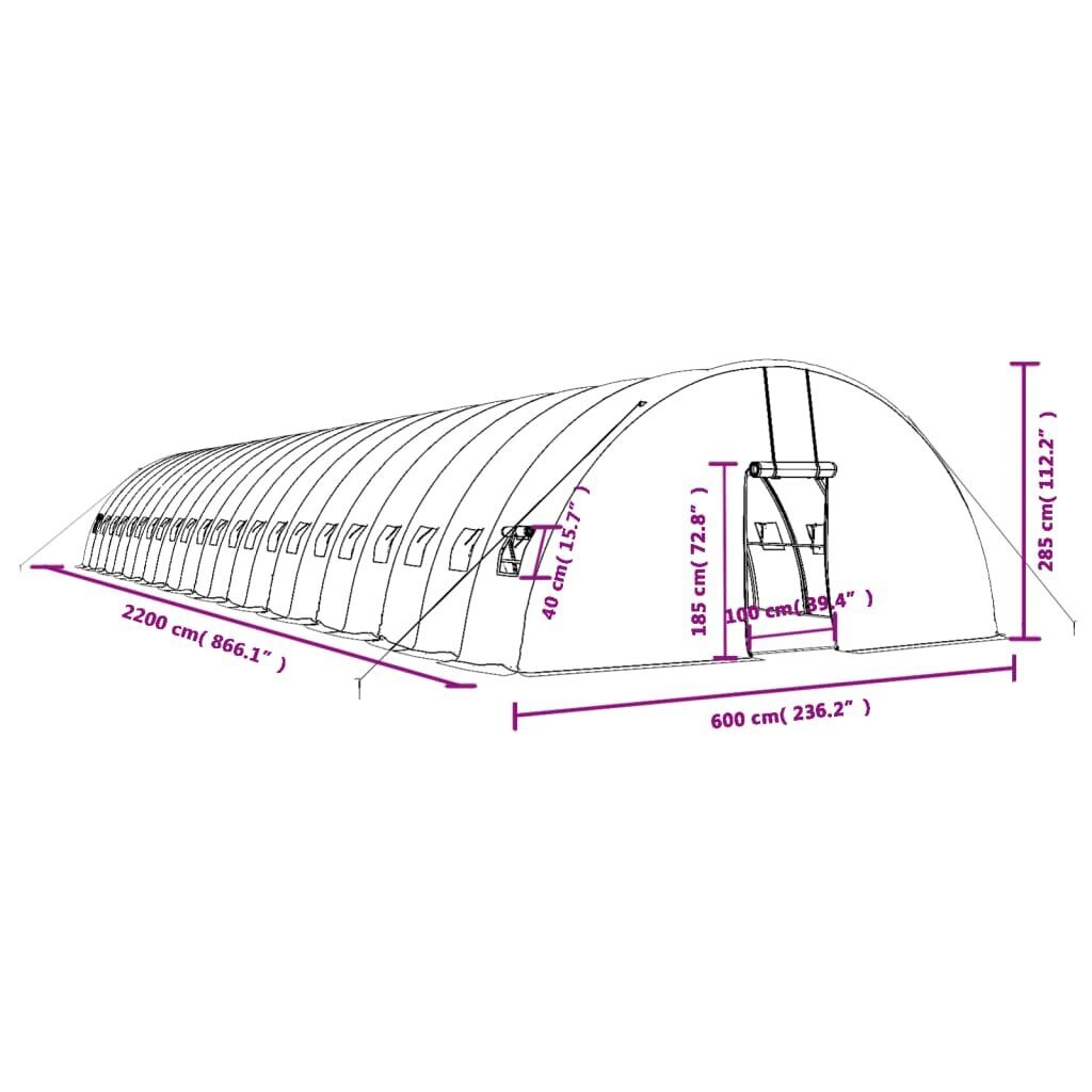 Siltumnīca ar tērauda rāmi vidaXL, 132 m², 22x6x2,85 m cena un informācija | Siltumnīcas | 220.lv