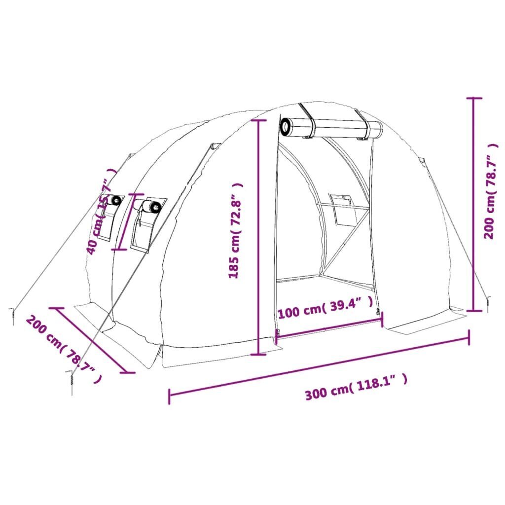 Siltumnīca ar tērauda rāmi vidaXL, 6 m², 3x2x2 m цена и информация | Siltumnīcas | 220.lv