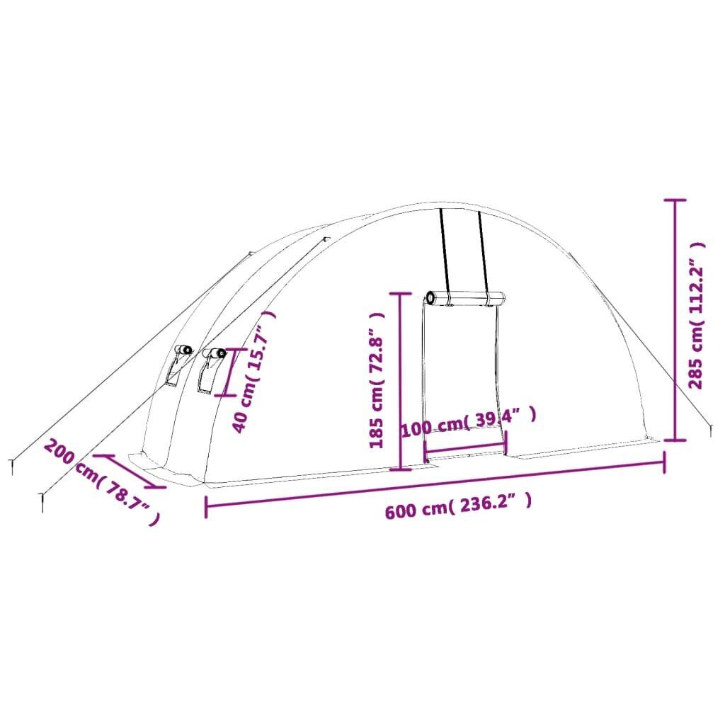 Siltumnīca ar tērauda rāmi vidaXL, 12 m² 6x2x2,85 m cena un informācija | Siltumnīcas | 220.lv