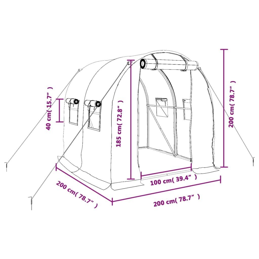 Siltumnīca ar tērauda rāmi vidaXL, 4 m², 2x2x2 m cena un informācija | Siltumnīcas | 220.lv