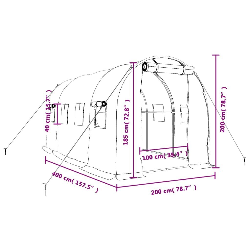 Siltumnīca ar tērauda rāmi vidaXL, 8 m², 4x2x2 m cena un informācija | Siltumnīcas | 220.lv