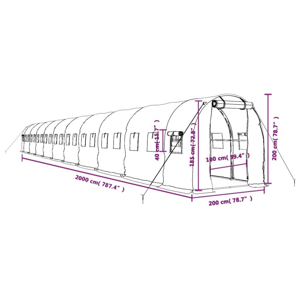 Siltumnīca ar tērauda rāmi vidaXL, 40 m², 20x2x2 m цена и информация | Siltumnīcas | 220.lv