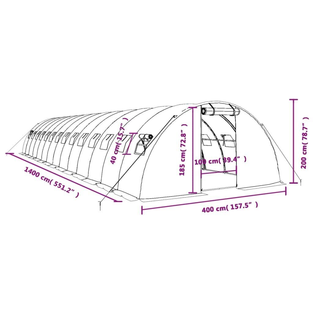 Siltumnīca ar tērauda rāmi vidaXL, 56 m², 14x4x2 m цена и информация | Siltumnīcas | 220.lv