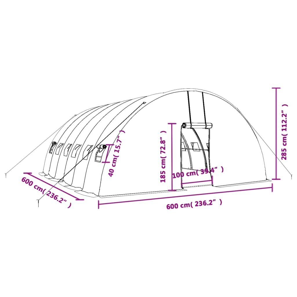 Siltumnīca ar tērauda rāmi vidaXL, 36 m², 6x6x2,85 m cena un informācija | Siltumnīcas | 220.lv