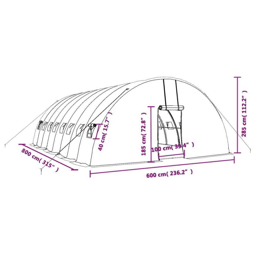 Siltumnīca ar tērauda rāmi vidaXL, 48 m², 8x6x2,85 m cena un informācija | Siltumnīcas | 220.lv