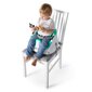 Barošanas krēsls 2in1 Baby Einstein Dine & Discover, zaļš cena un informācija | Barošanas krēsli | 220.lv