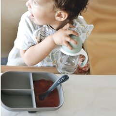 Миска с прилипающим дном Beaba Mineral цена и информация | Детская посуда, контейнеры для молока и еды | 220.lv