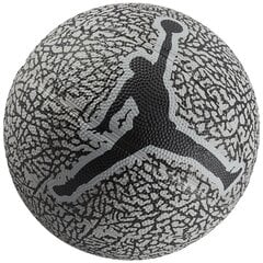 piłka do koszykówki Jordan Skills 2.0 Graphic Mini Ball J1006753-056 цена и информация | Баскетбольные мячи | 220.lv