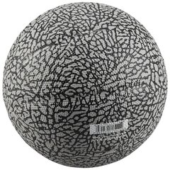 piłka do koszykówki Jordan Skills 2.0 Graphic Mini Ball J1006753-056 цена и информация | Баскетбольные мячи | 220.lv