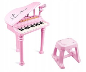 Multivides klavieres ar mikrofonu, AIG 4311R rozā cena un informācija | Attīstošās rotaļlietas | 220.lv