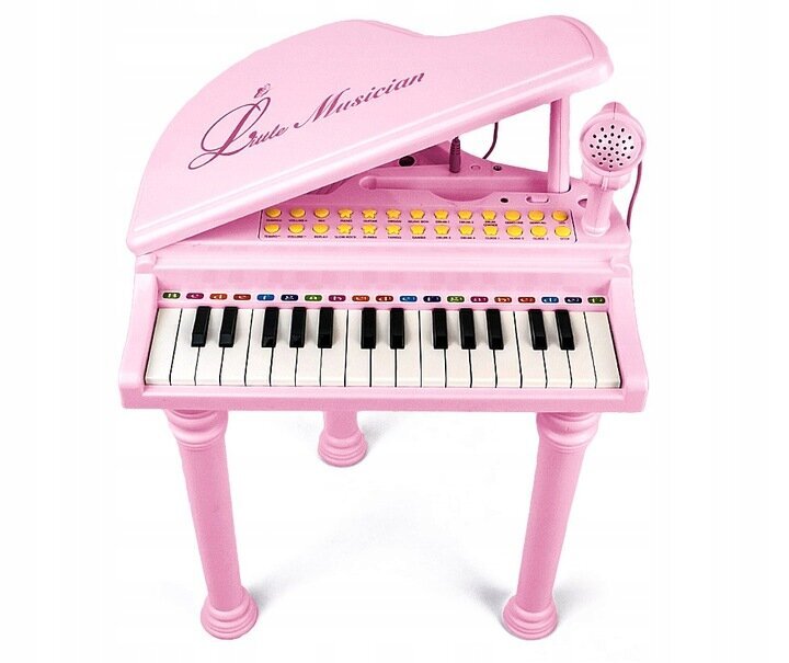 Multivides klavieres ar mikrofonu, AIG 4311R rozā cena un informācija | Attīstošās rotaļlietas | 220.lv