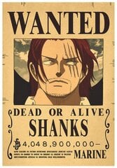 Plakāts One Piece cena un informācija | Gleznas | 220.lv