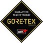 Cimdi sievietēm Ziener Mare Gore-Tex + Gore plus 801706-937-9.5 cena un informācija | Vīriešu cepures, šalles, cimdi | 220.lv