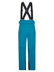 Детские горнолыжные штаны Ziener AXI JR 237913-312-176 цена и информация | Зимняя одежда для детей | 220.lv