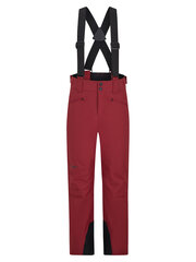 Детские горнолыжные штаны Ziener AXI JR 237913-326-176 цена и информация | Зимняя одежда для детей | 220.lv