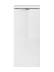Шкаф для ванной комнаты Comad Capri 811B, белый цвет цена и информация | Шкафчики для ванной | 220.lv