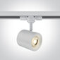OneLight griestu lampa Track 65520T/W цена и информация | Griestu lampas | 220.lv