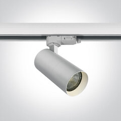 OneLight griestu lampa Track 65522T/W цена и информация | Потолочные светильники | 220.lv