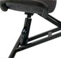 Ergonomisks krēsls Black Point O'Kneel Linen, pelēks цена и информация | Biroja krēsli | 220.lv