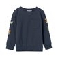 Džemperis zēniem Name It 284613, zils цена и информация | Zēnu jakas, džemperi, žaketes, vestes | 220.lv