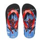 Pludmales apavi zēniem Spiderman S0736051, zilas цена и информация | Bērnu apavi pludmalei | 220.lv